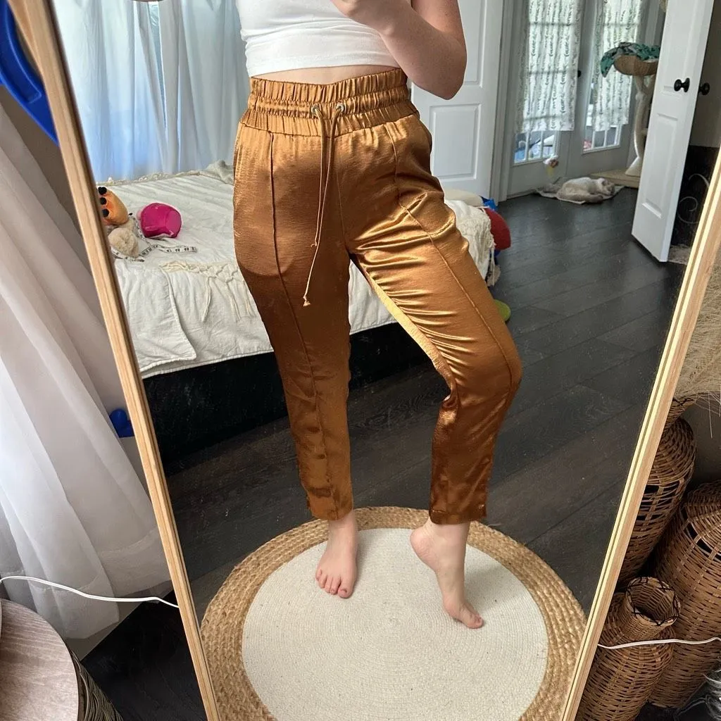 Cinq a Sept Women’s Extra Small Adalie Hammered Satin Pants Cinnamon - Image 2