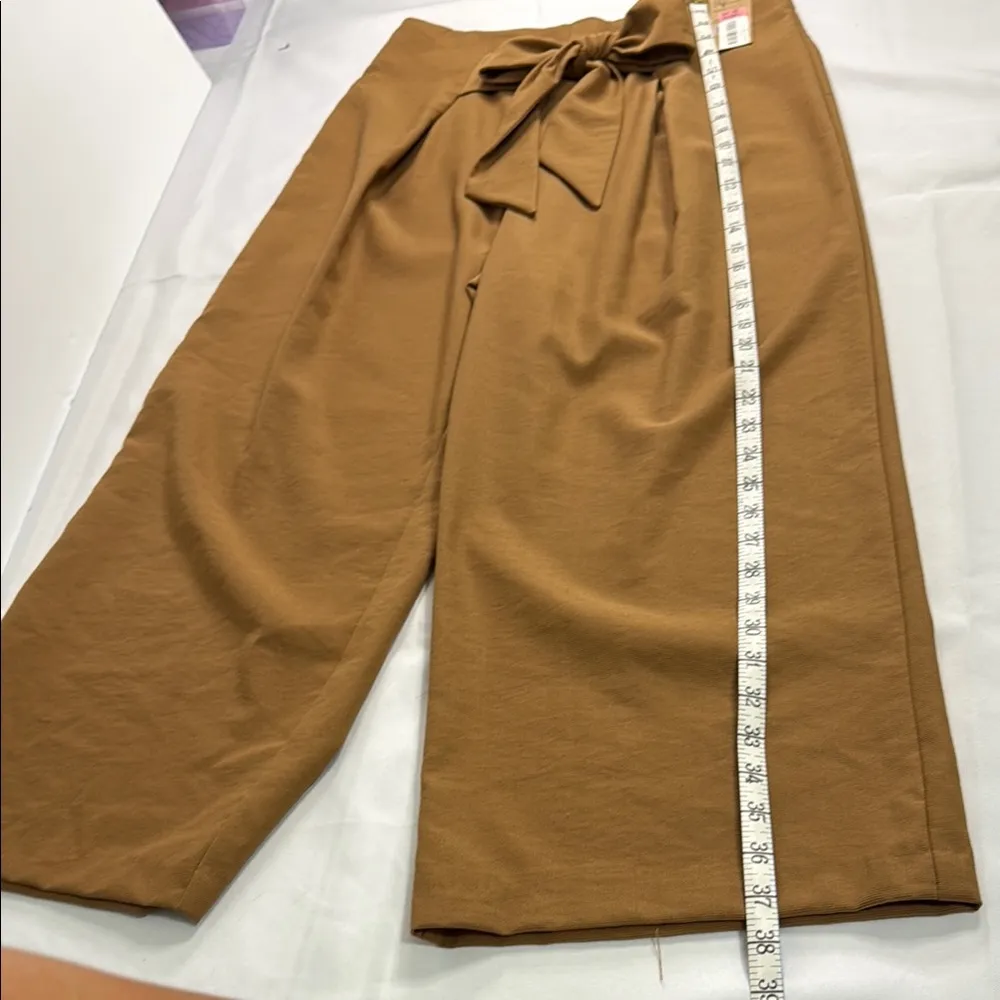 Daniel Cremieux Brown Capris with Tie Waist - Image 4