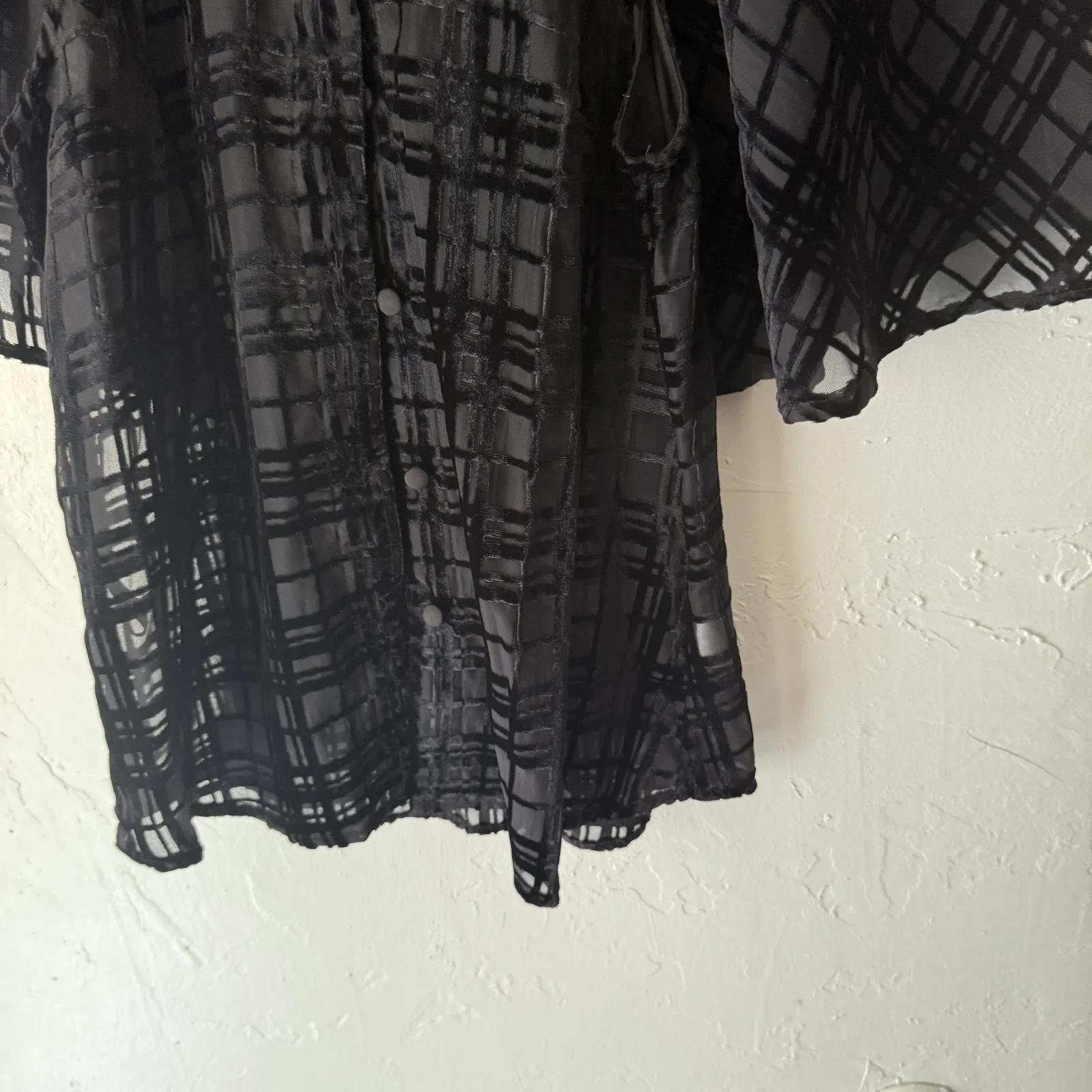 Corey Lynn Calter Blouse Whimsigoth XS Sheer Velvet Burnout Plaid Button Top USA Black - Image 3