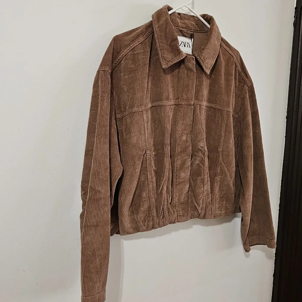 ZARA Corduroy Cropped Jacket - Brown - Women's Size L - 4365/270/730 NWT - Image 3