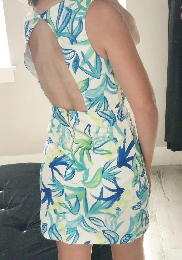 Sabo Skirt Deep Plunging Dress - Image 4