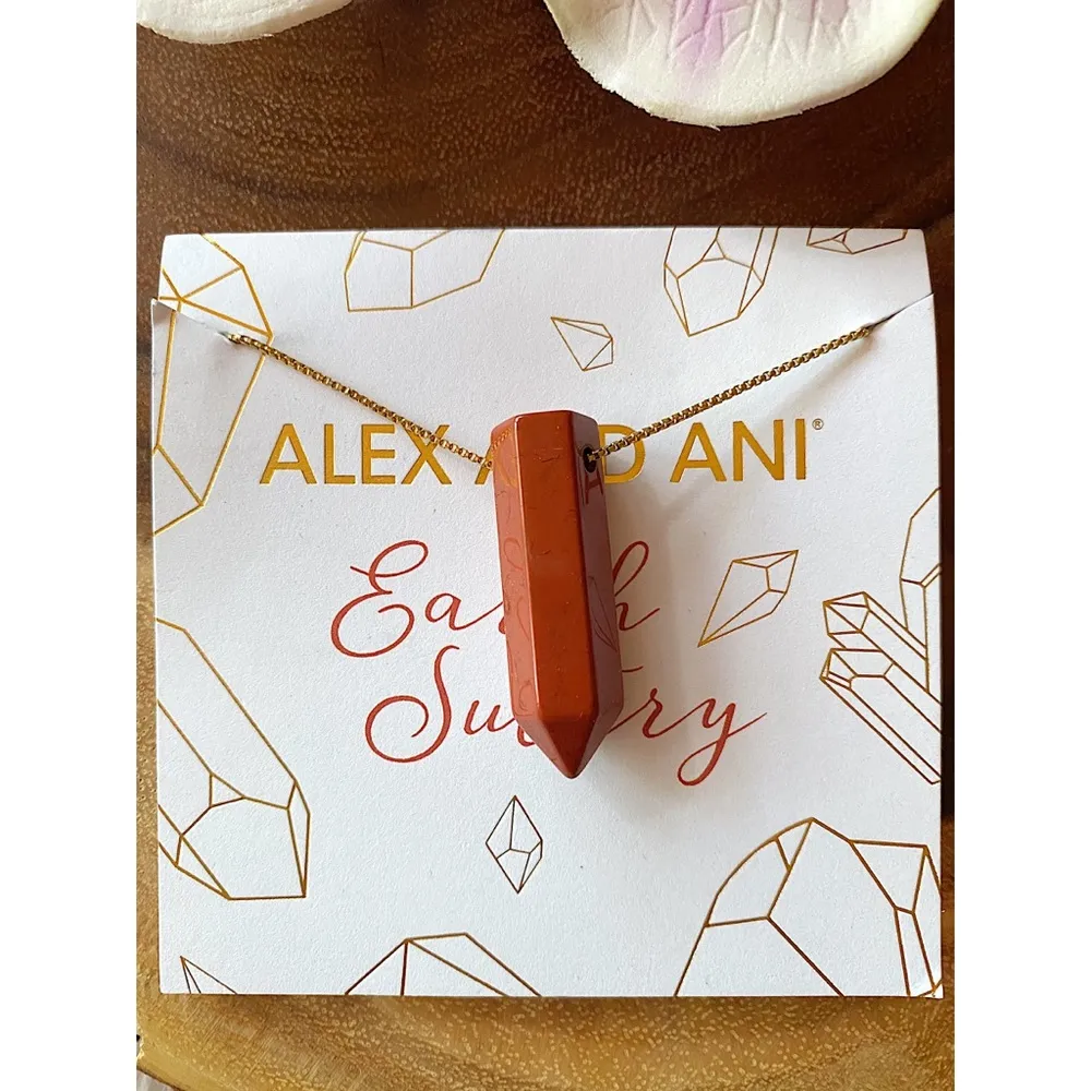 NWT Alex and Ani Red Jasper Chain Station Necklace - Image 3