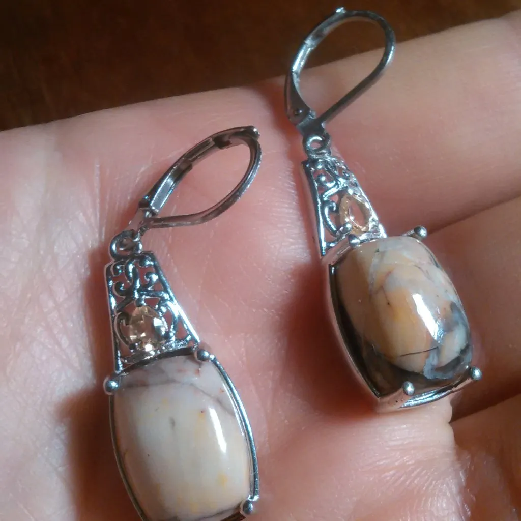 Cherry Creek Jasper and Brazilian Citrine Platinum Bond Lever Back Earrings - Image 9