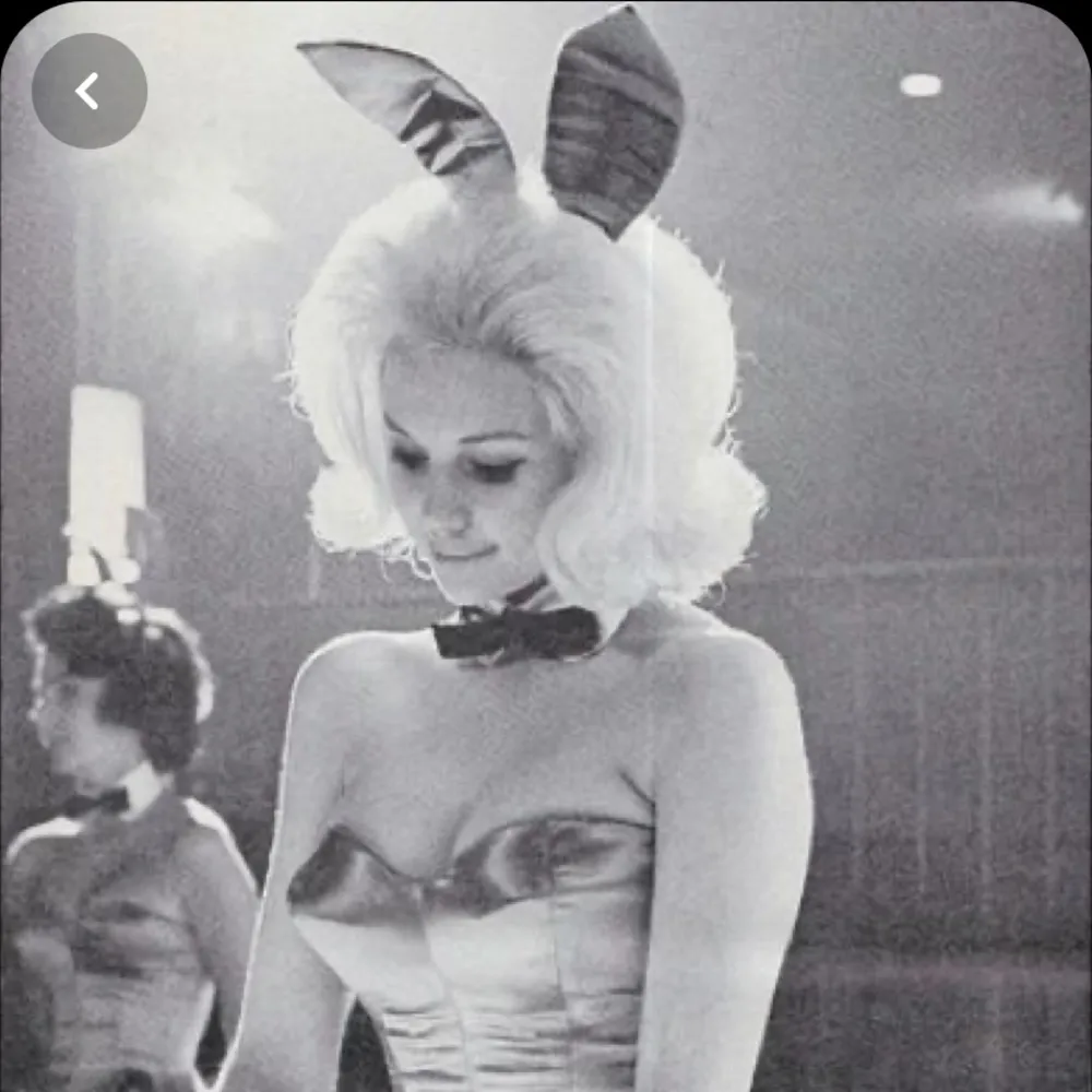 Pair of small 1950s bow ties gray/red - Image 5