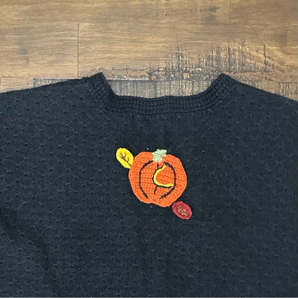 Karen Scott Large Knit Pumpkin Fall Vest EUC Large - Image 7