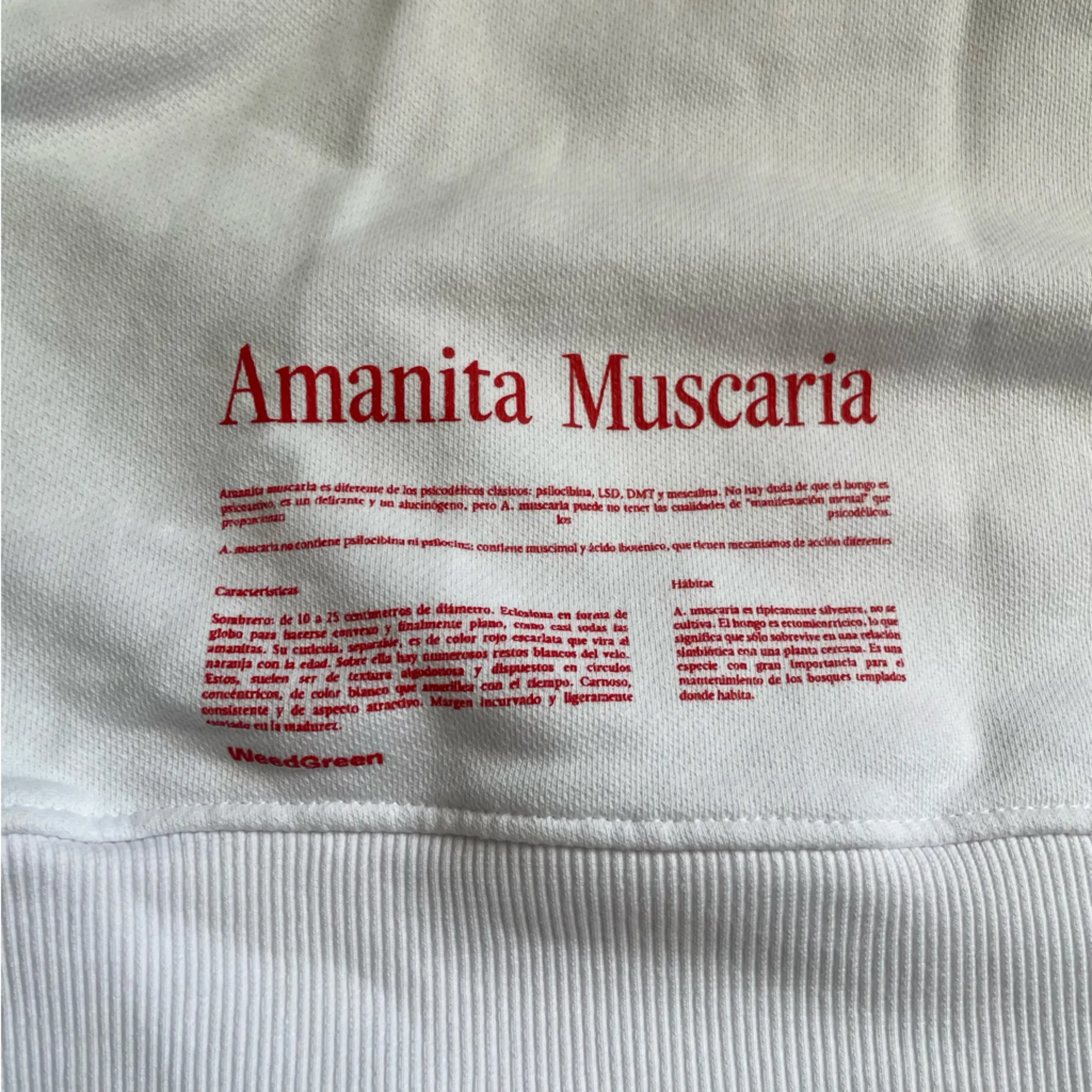 WeedGreen Amanita Muscaria Mushroom Printed Graphic Sweater Size Large Red - Image 5