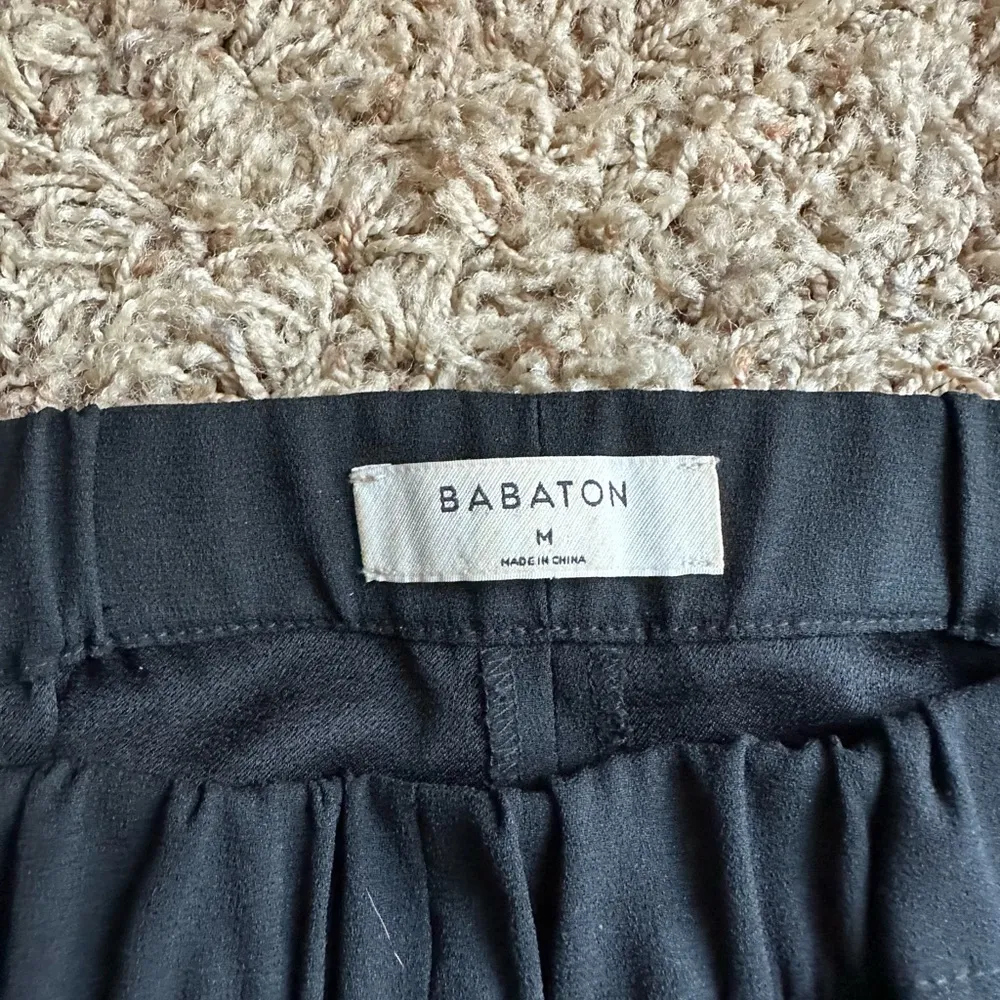 Aritzia babaton Dexter pant - Image 6