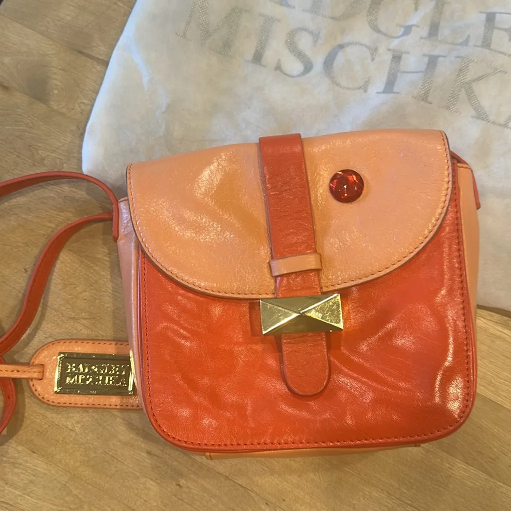 BADGLEY MISCHKA GORGEOUS ORANGE BAG - Image 2