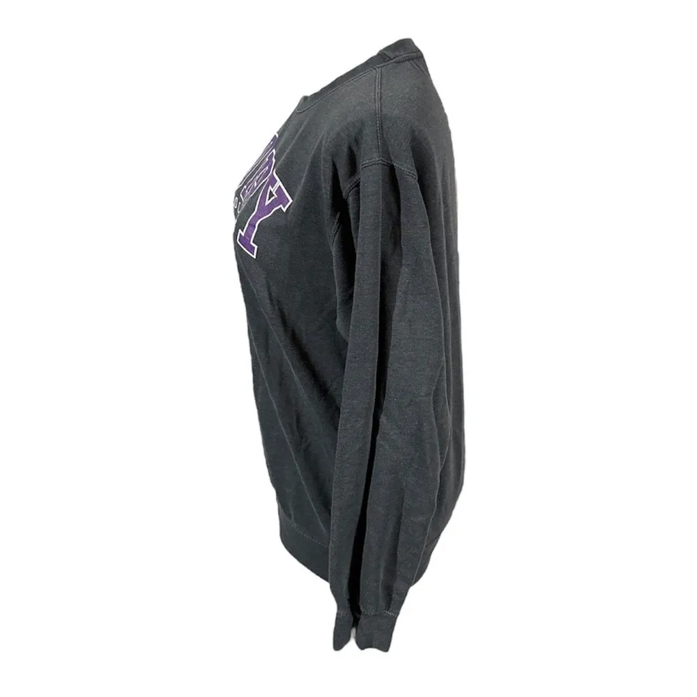 Curry College sweatshirt Gray Size M - Image 2