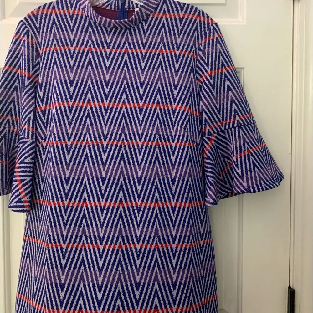 Tyler Boe Blue and Red A - Image 4