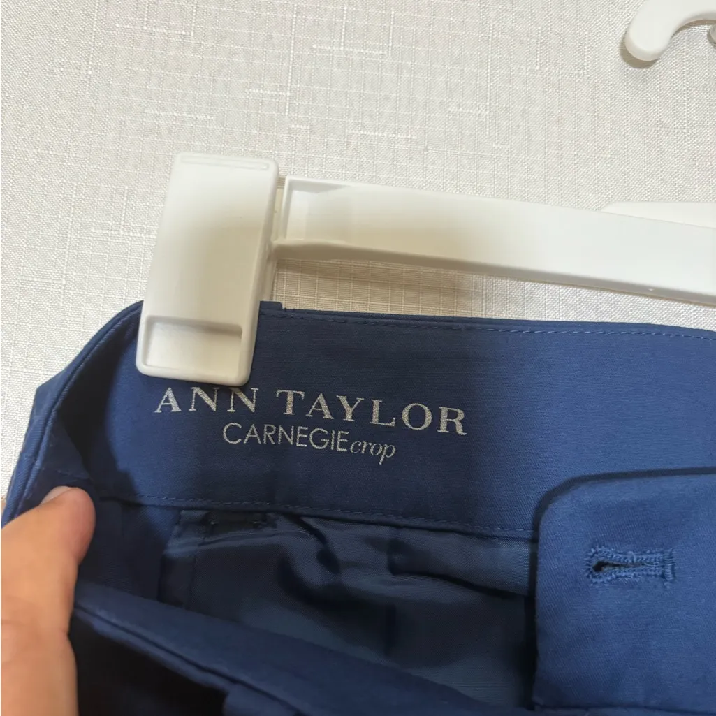 Ann Taylor Navy Cropped Pants - Image 3