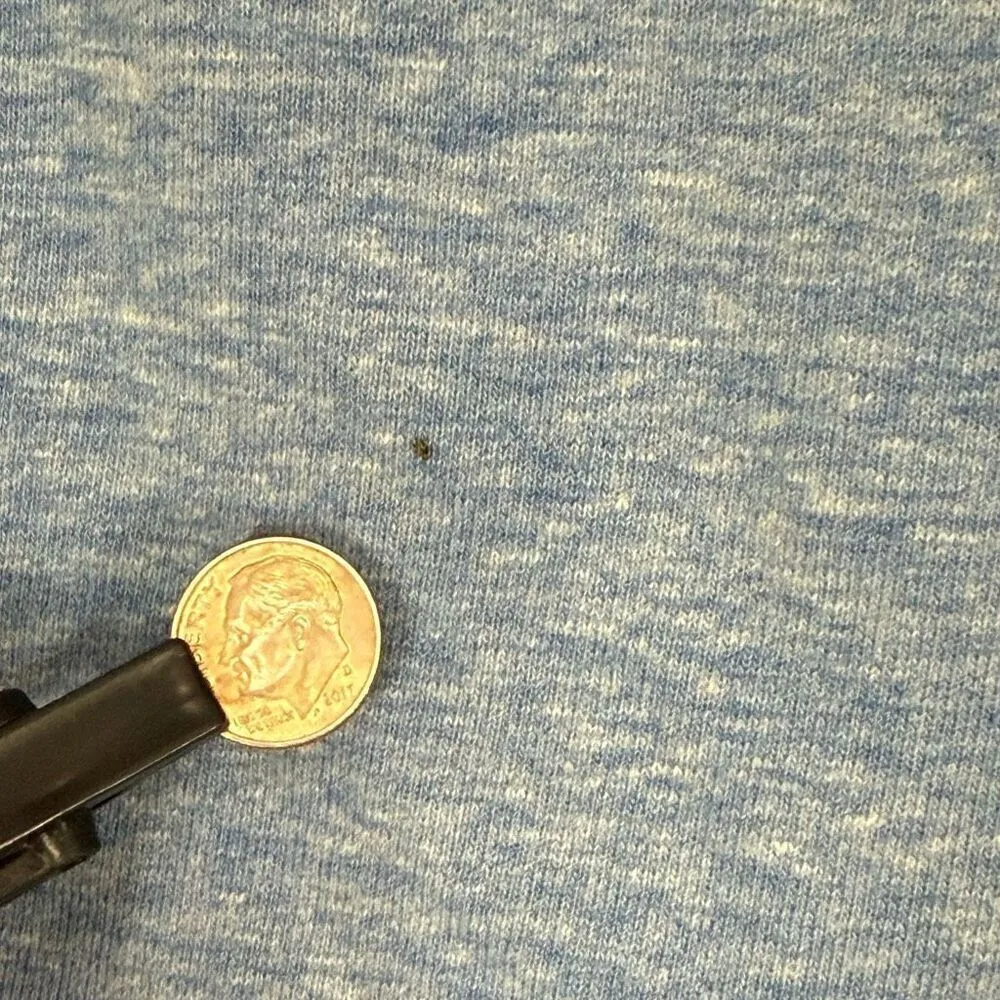 Route 66 Women's Sweat Shorts Size Medium - Image 4