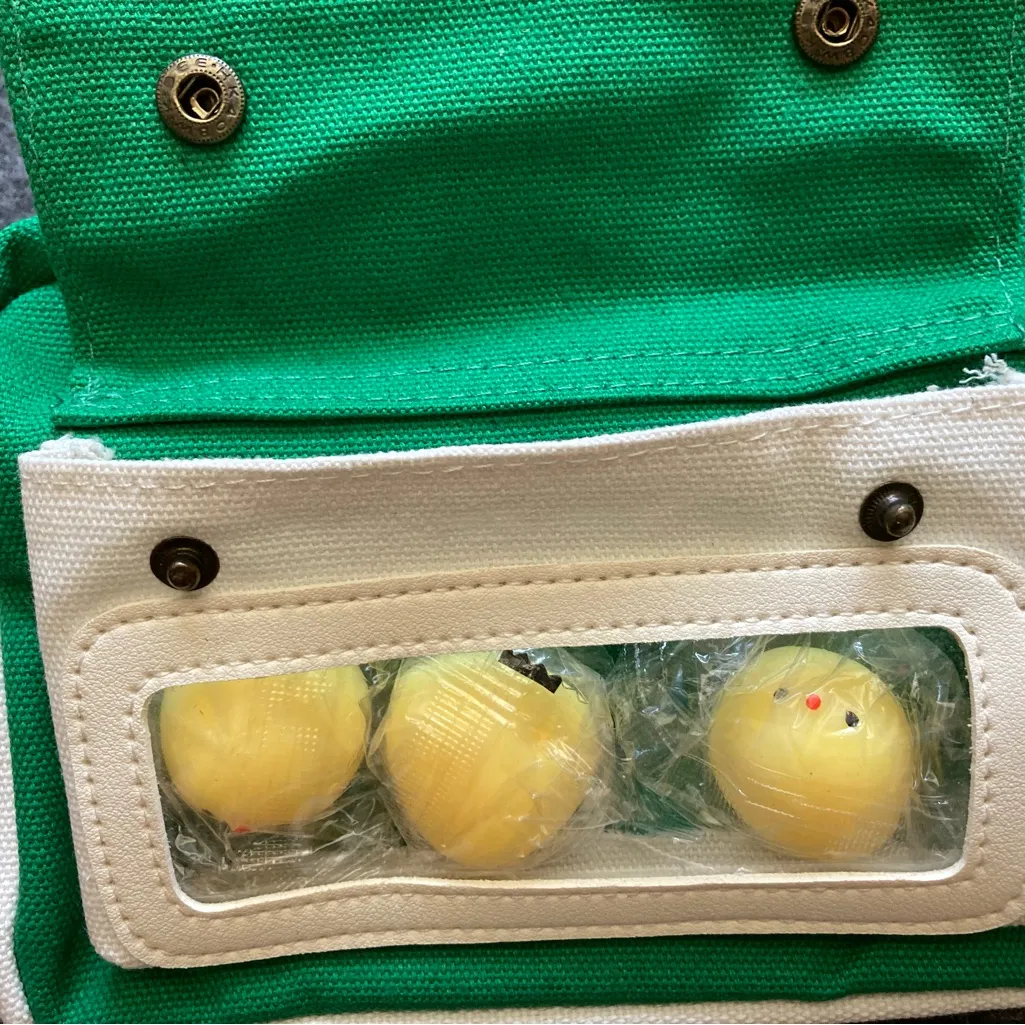 Green Canvas Messenger Shoulder Bag with Stress Relief Chicken Toy Cute Satche - Image 3