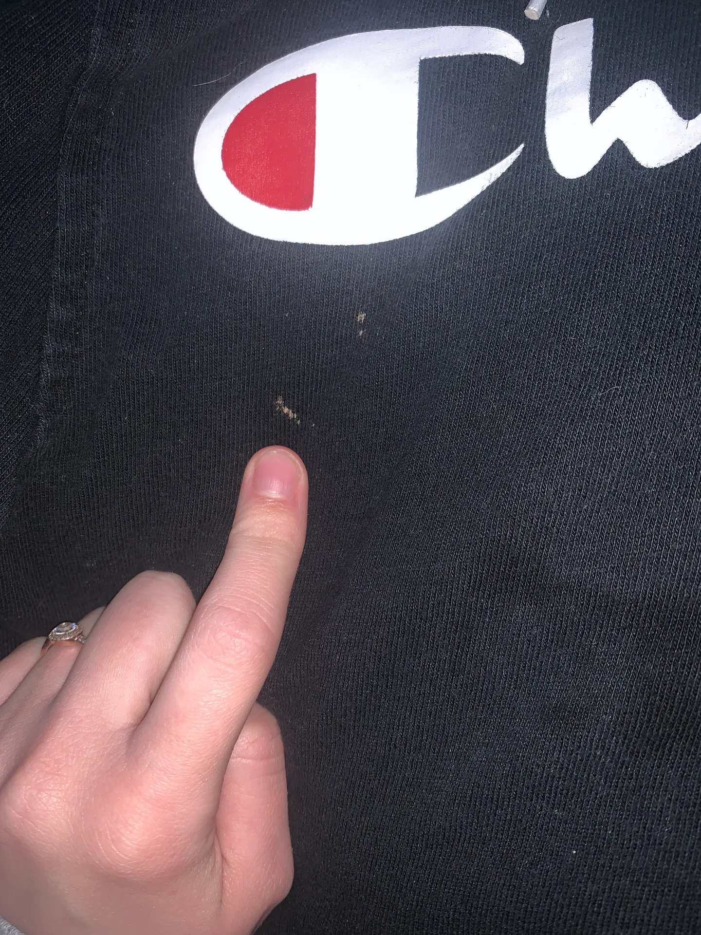 Champion Hoodie - Image 4