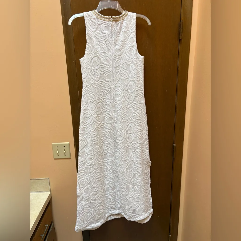 Lilly Pulitzer Carlotta Maxi Dress in Wildflower Stripe Lace Resort White - Image 6