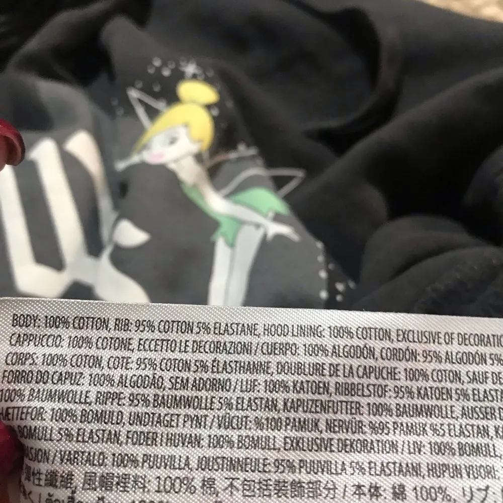 Walt  Disneyland hundred anniversary hoodie Size medium - Image 7