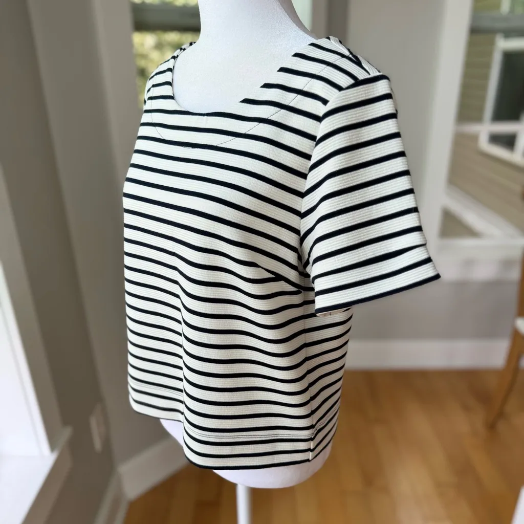 The Limited Ivory and Navy Blue Striped Cropped Boxy Fit Short Sleeve Top Small - Image 3