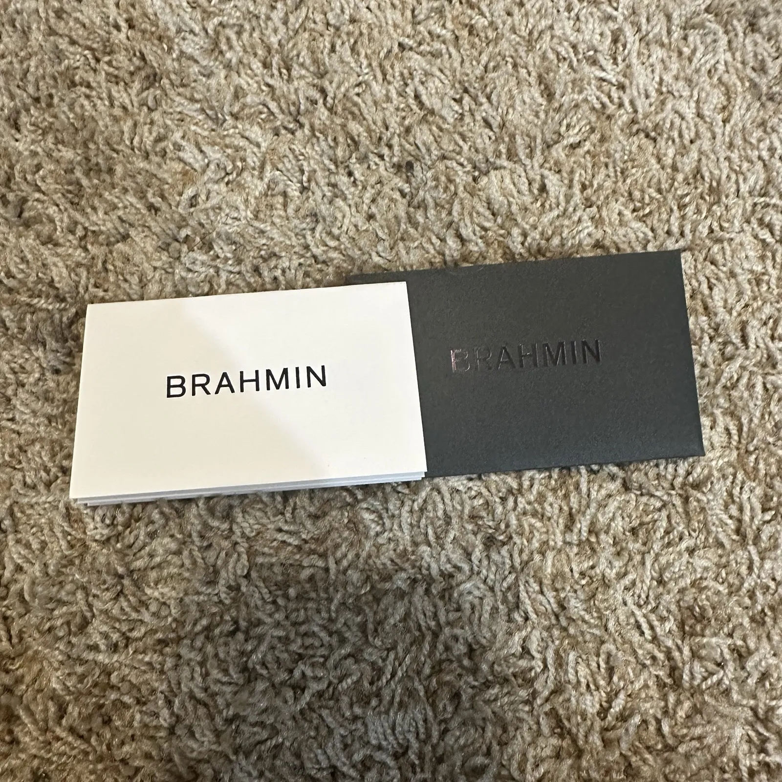 Brahmin Tia Serenity Meridian Satchel Shoulder Tote Bag Snake Blue Embossed - Image 15