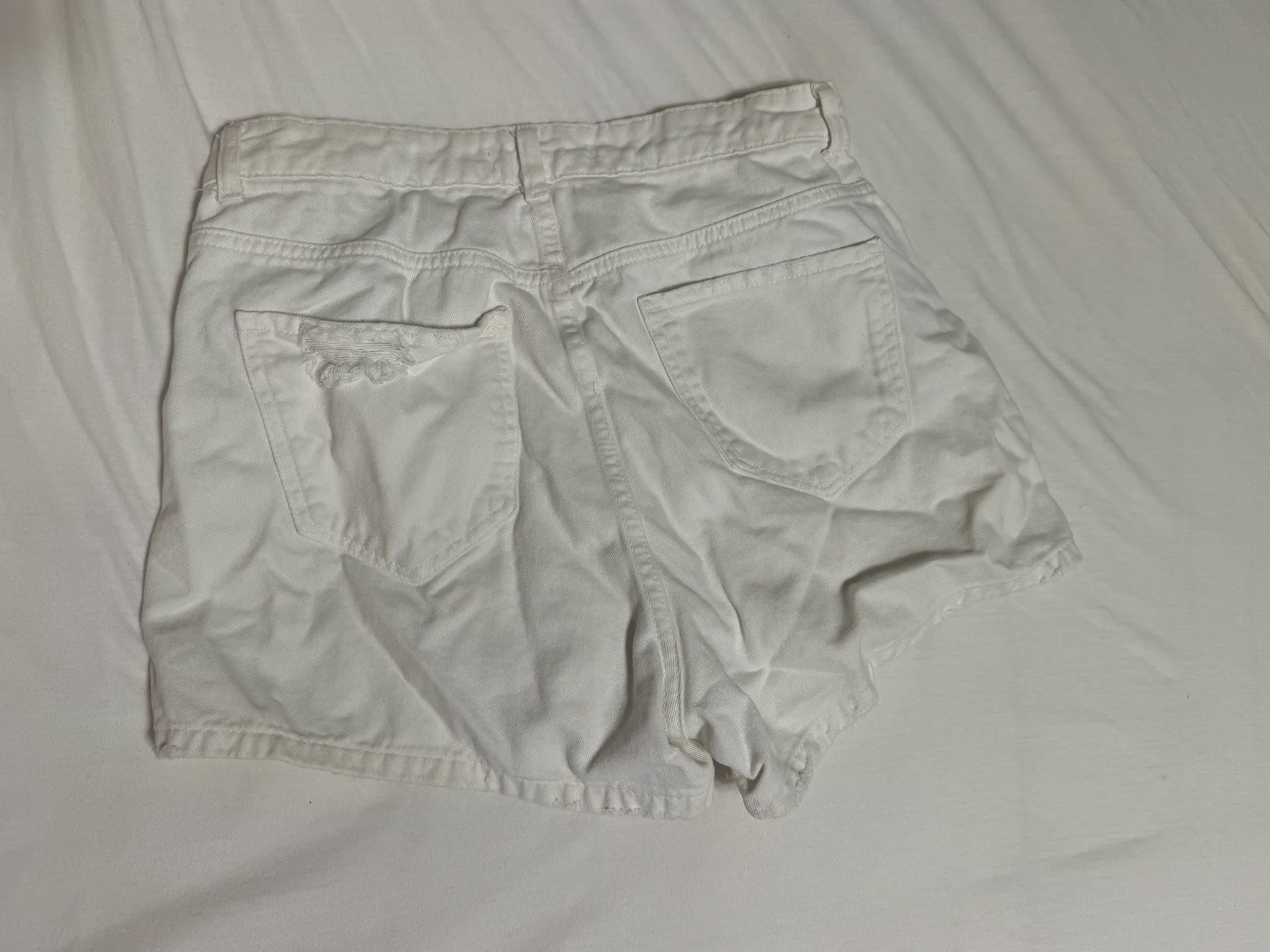 ZARA  skort - Image 4