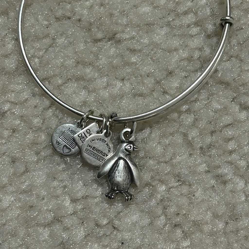 Alex and Ani Silver Penguin Charm Bracelet - Image 5