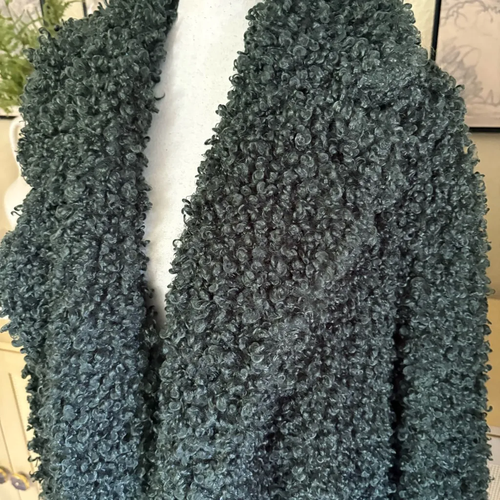 TIBI Green Faux Fur Long Hair Coat Over Sized Teddy Size Large - Image 2