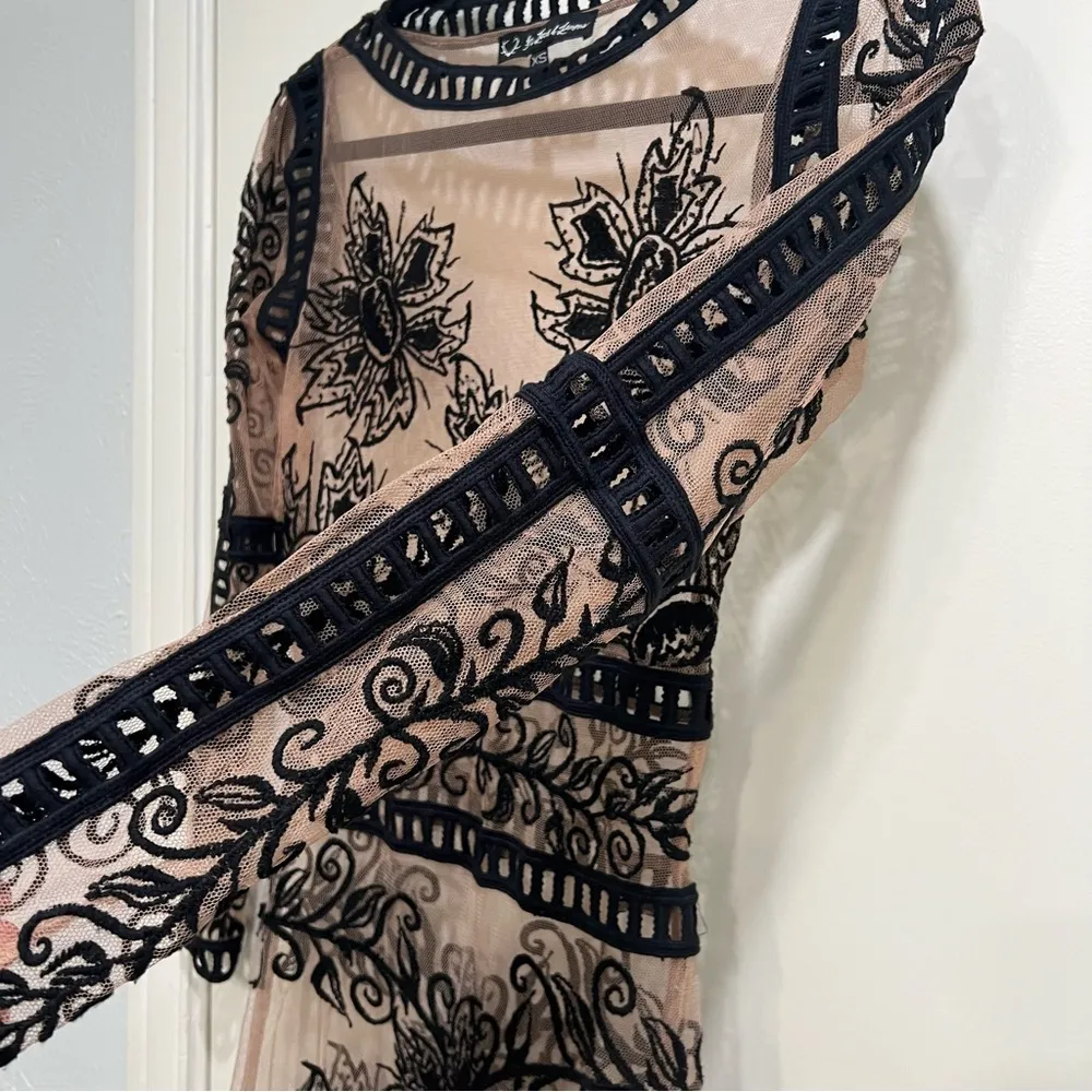 For Love and Lemons Desert Nights Mini Dress Black Embroidered Mesh - Image 4