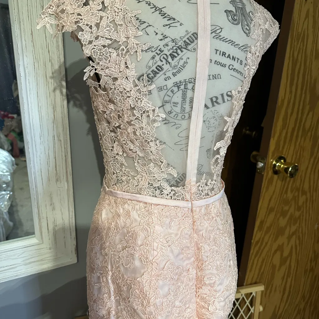 Elegant Lace Pink Evening Gown - Image 3