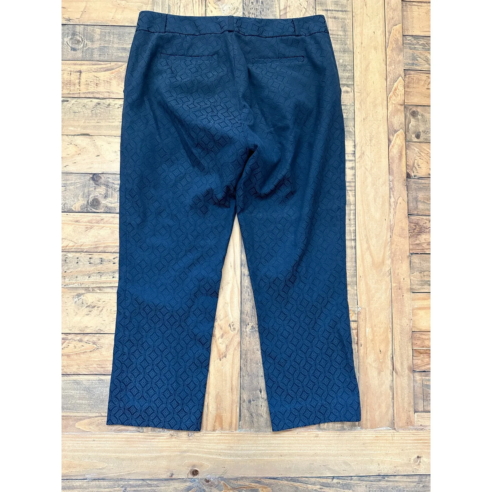 #18 Flat Front Navy Textured Ankle Pants, Banana Republic Symona, Sz: 10 - Image 2