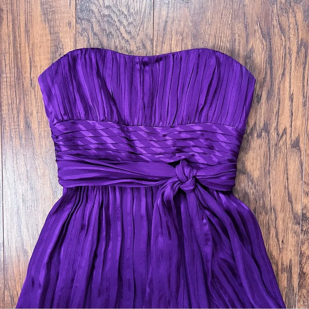 BCBGMaxAzria • Timona Strapless Gown purple silk shadow stripe dress maxi Nena - Image 7