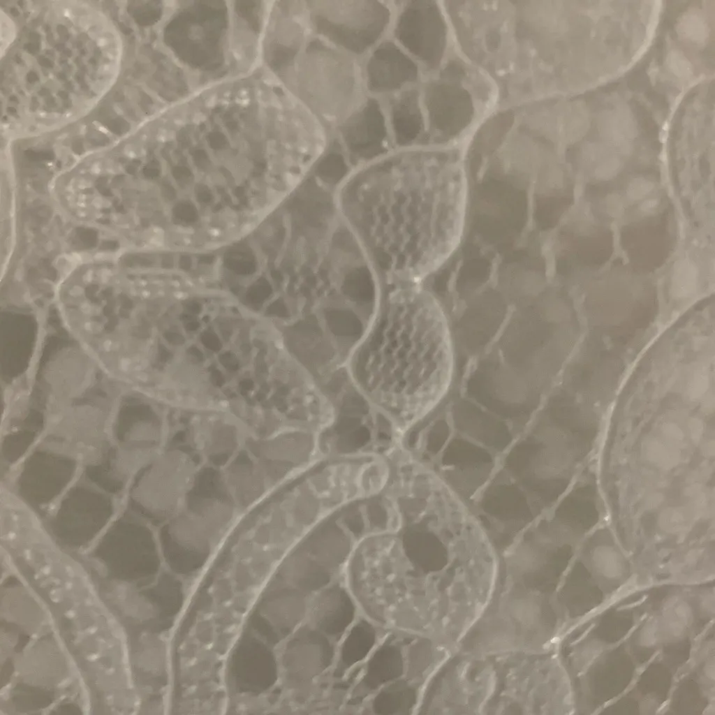 New York & Company White Lace Sleeveless Jumpsuit Size M - Image 5