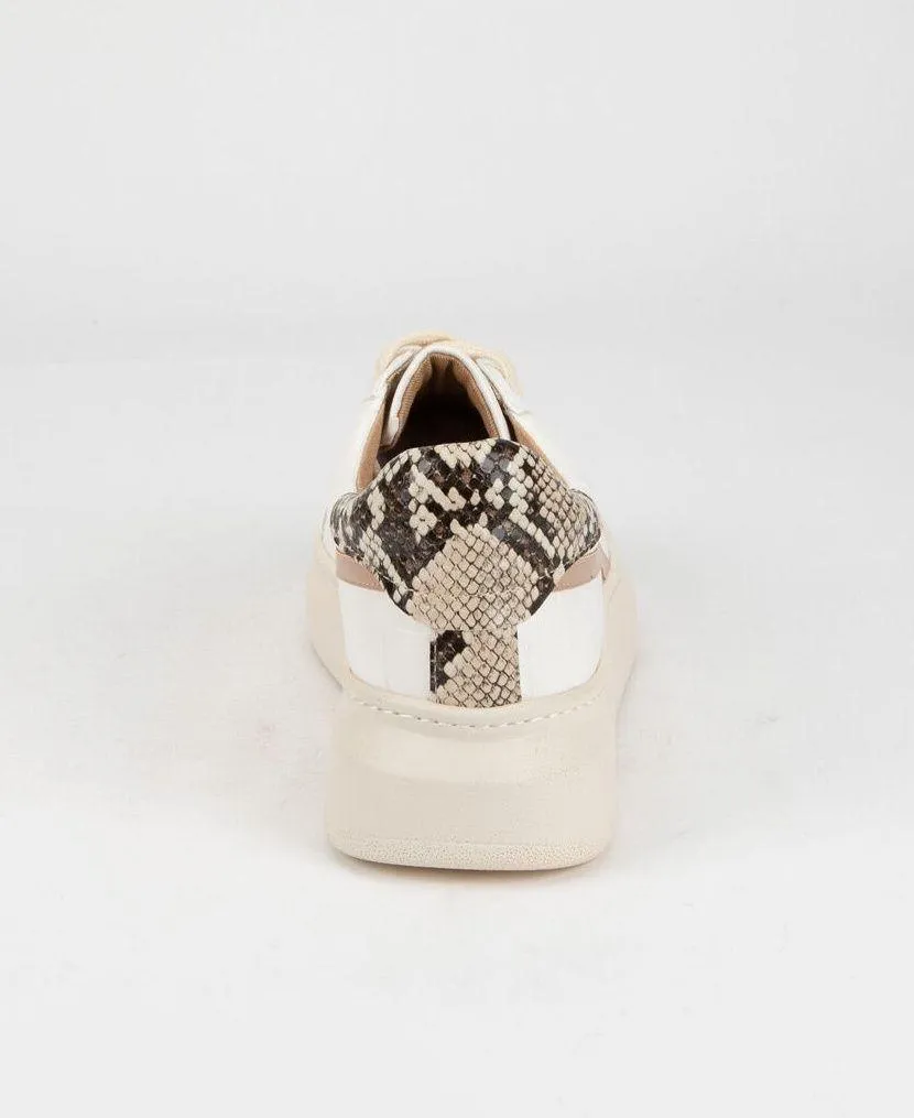 White Raven Spring Platform Sneakers - Image 3