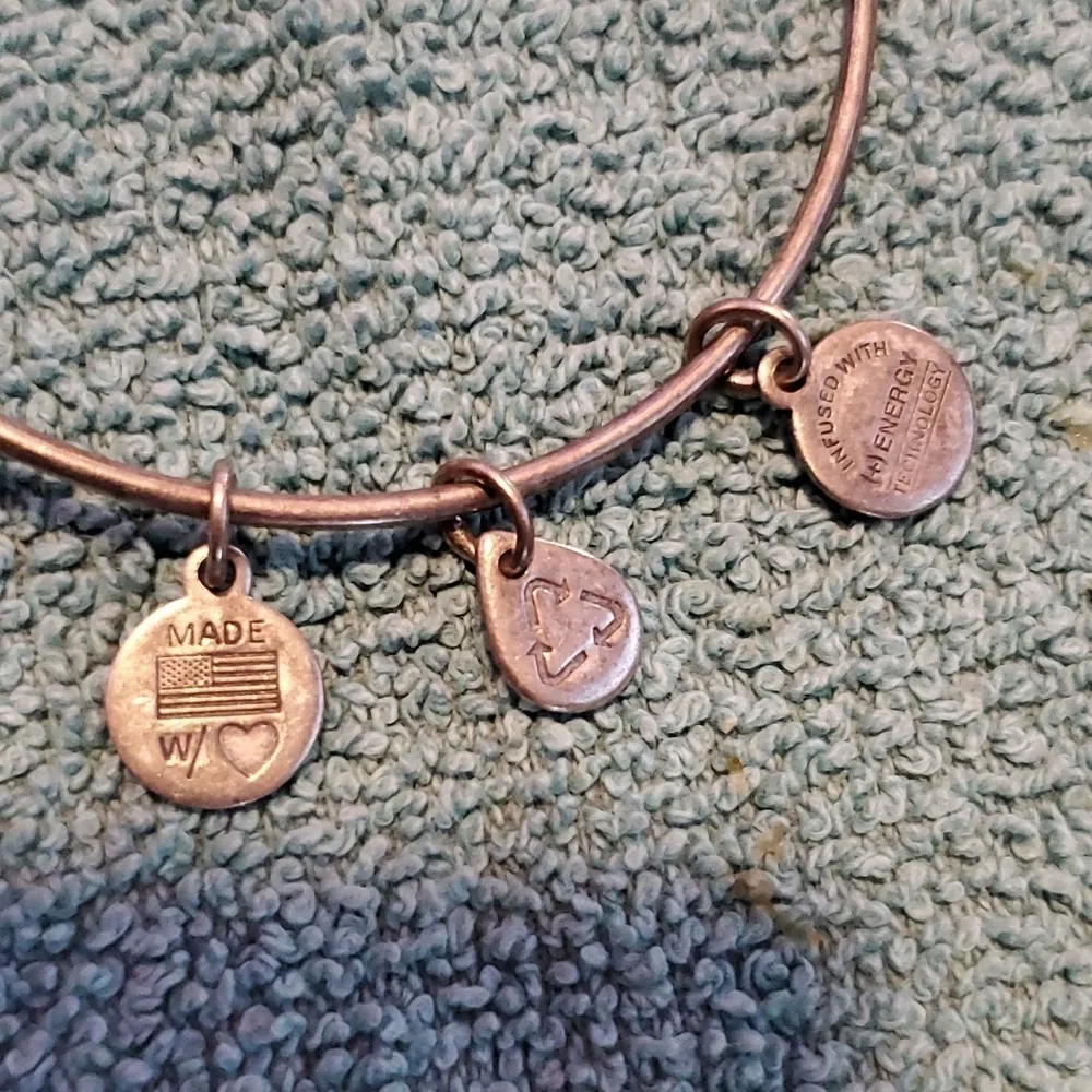 Alex & Ani Bangle Bracelet - Image 3