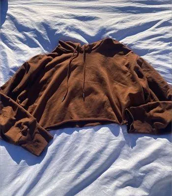 Brown Cropped Hoodie - Image 4