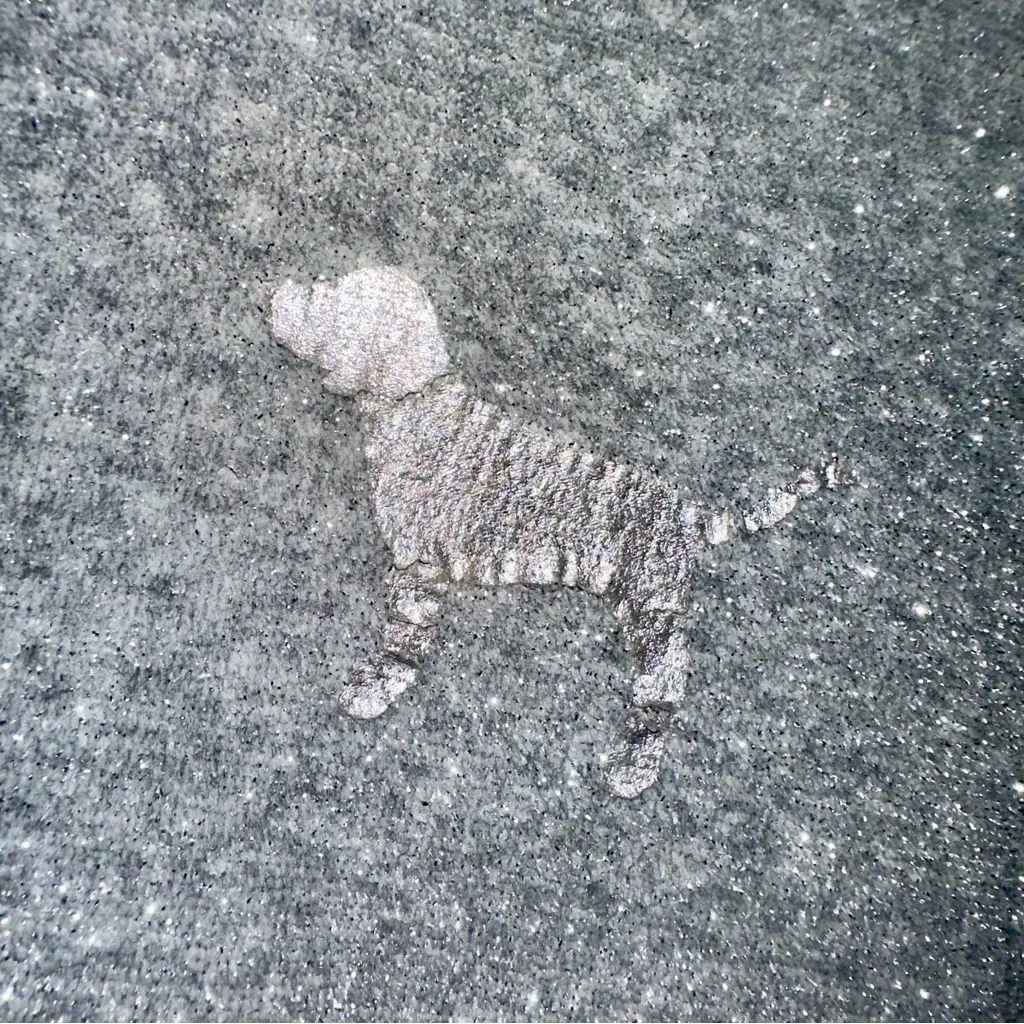 Y2K VS PINK Bling Full Zip Hooded Jacket! - Image 4