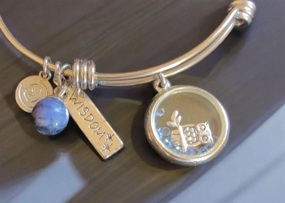 Silver Charm Bracelet Owl & Wisdom Adjustable Bangle - Image 2