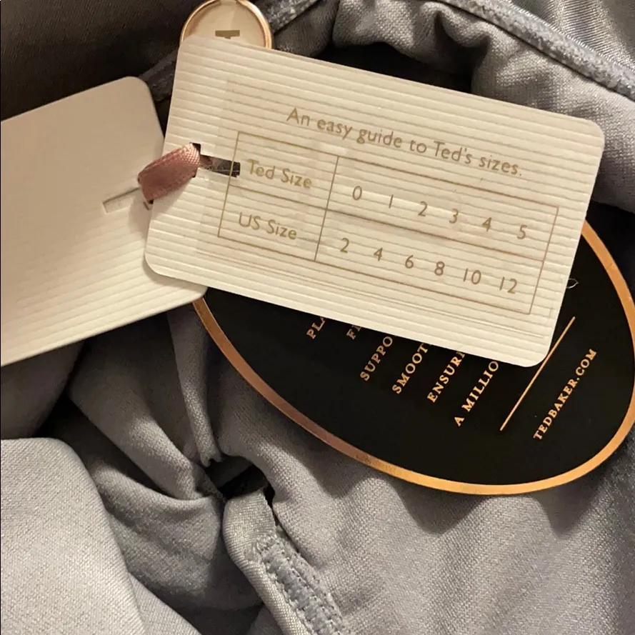 NWT Ted baker London silver lusela swimsuit One piece - Image 9