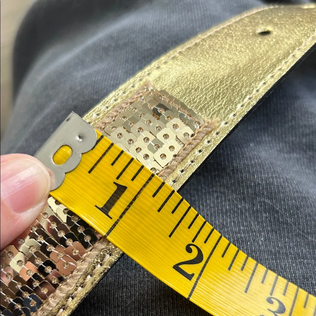 Gold sequin Belt with Silver Buckle - Image 5