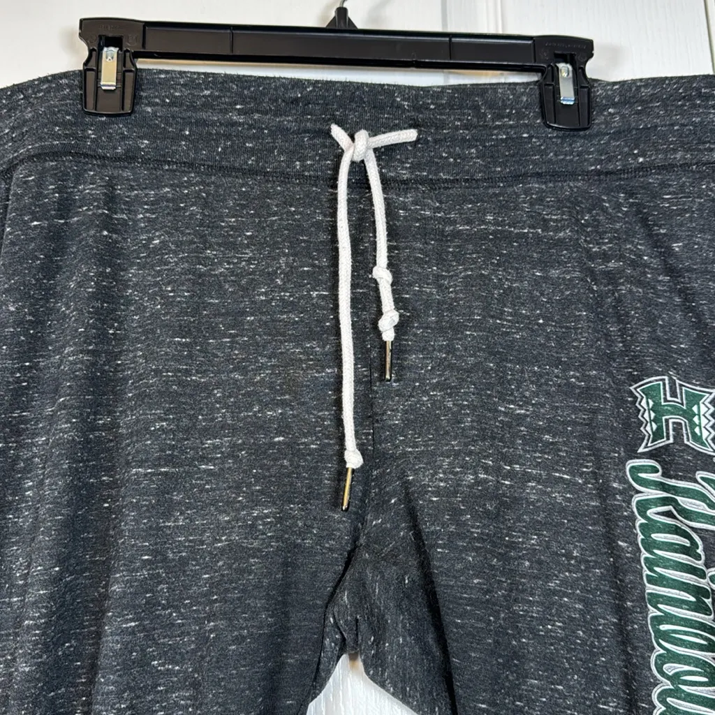 University of Hawaii Rainbow Warrior Gray Capri Joggers Size Large GUC #5785 - Image 3