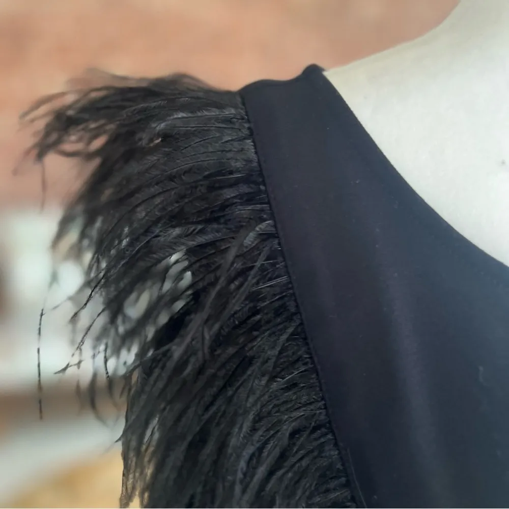 Eva Franco Anthropologie Romana Top
Feathered Black 3X Cocktail Glam Evening Mod - Image 4