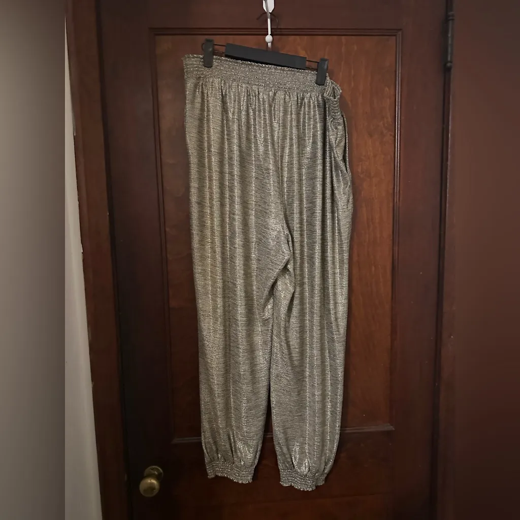 Anthropologie Gold Metallic Joggers, Size 1X - Image 3