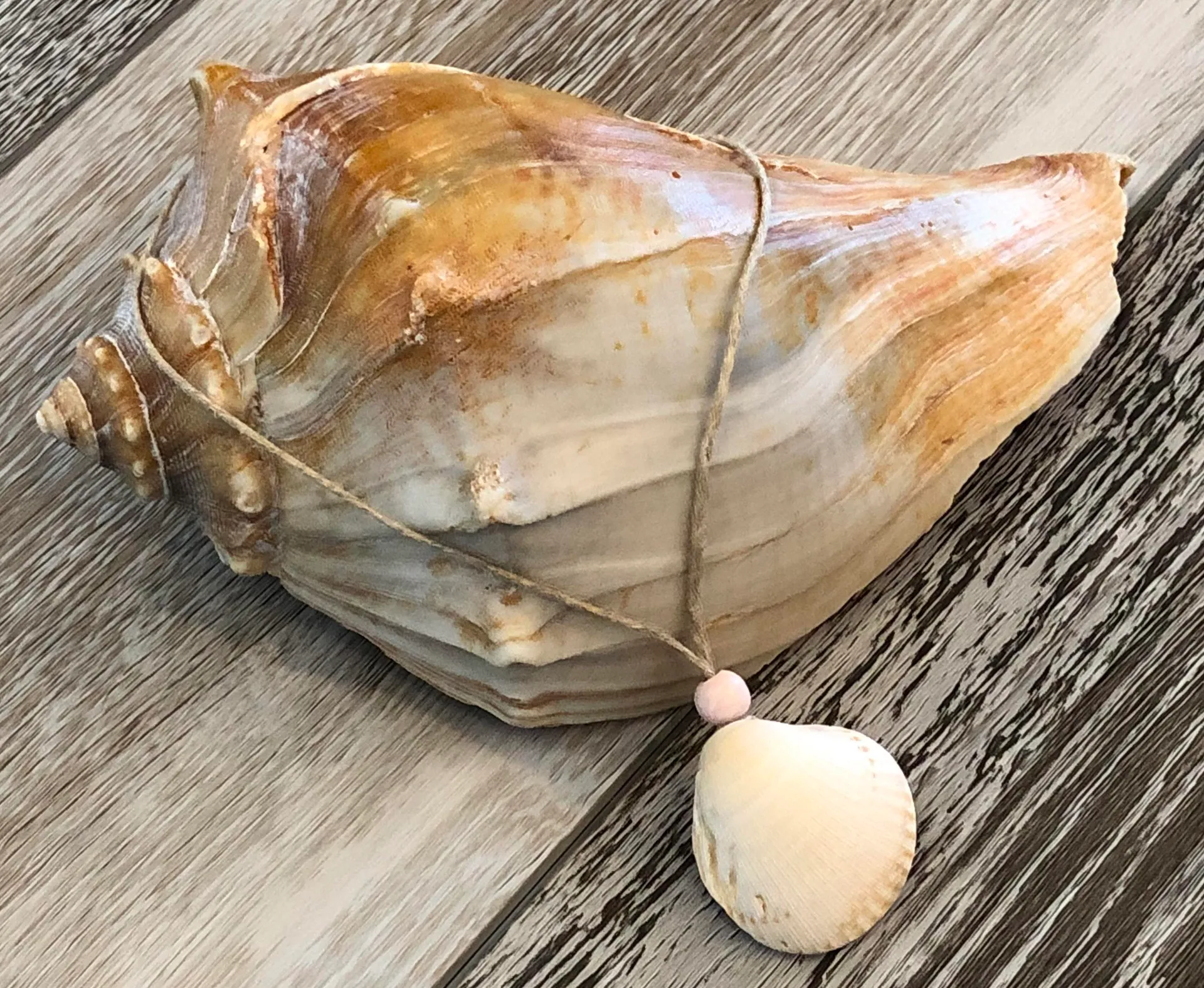 Handmade Awesome Seashell Surf / Beach Necklace - Image 2