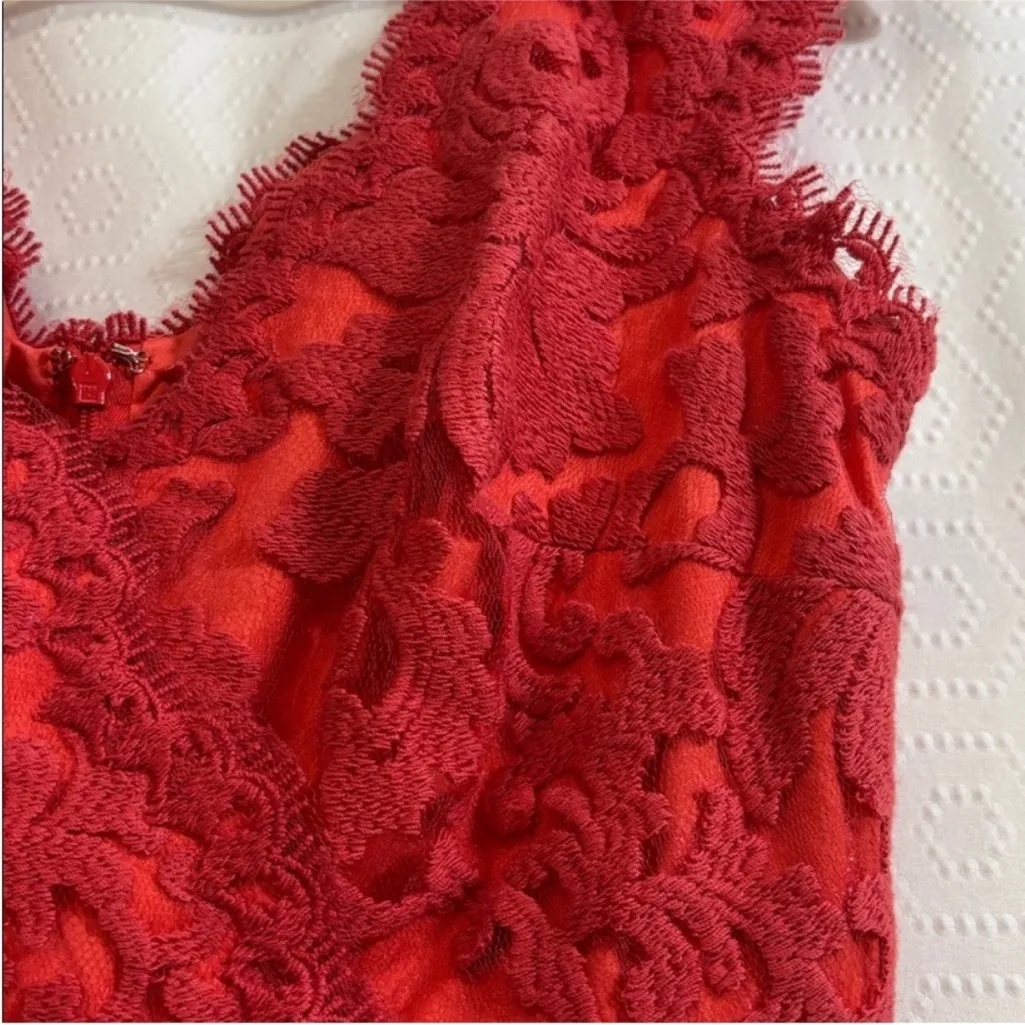 Tadashi Shoji Red Lace Pencil Dress Size 8 - Image 6