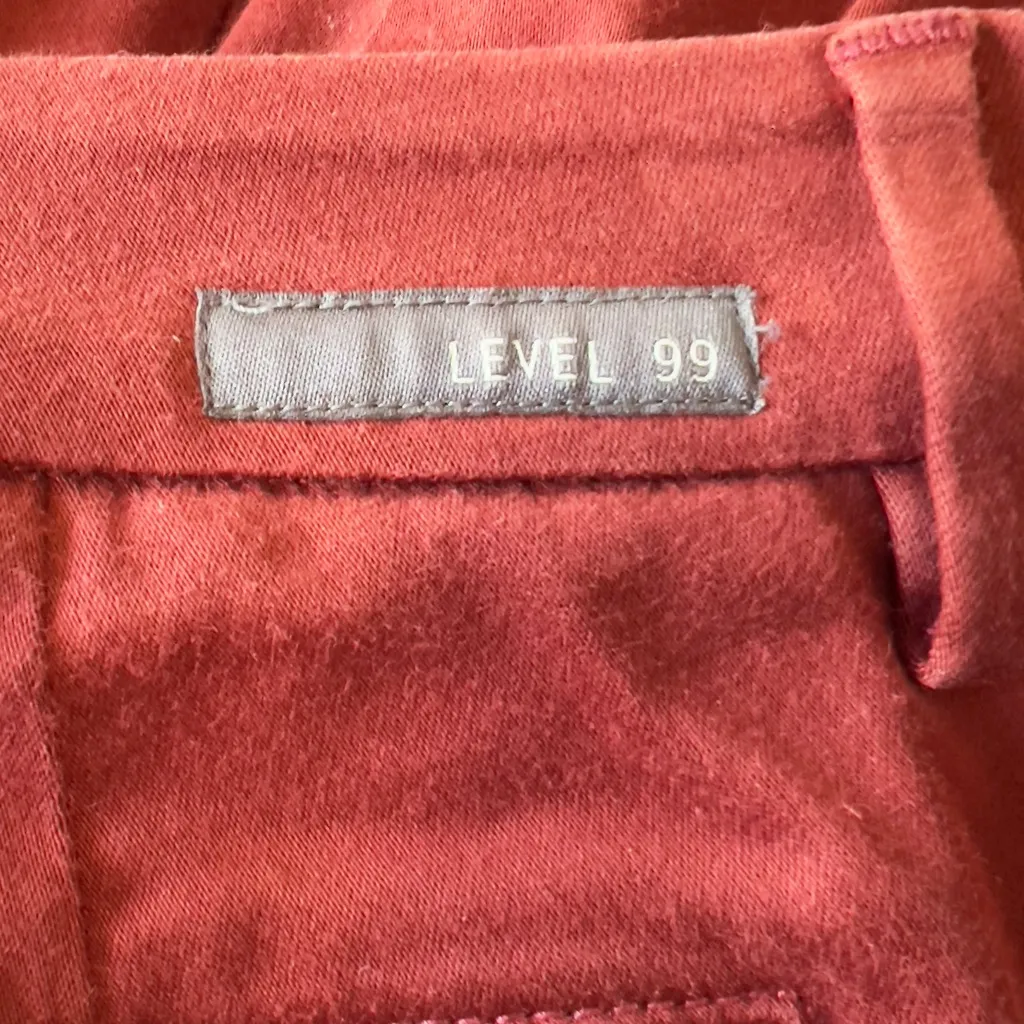 Level 99 Straight Legs Women’s Stretch Slacks Rust 26 - Image 3
