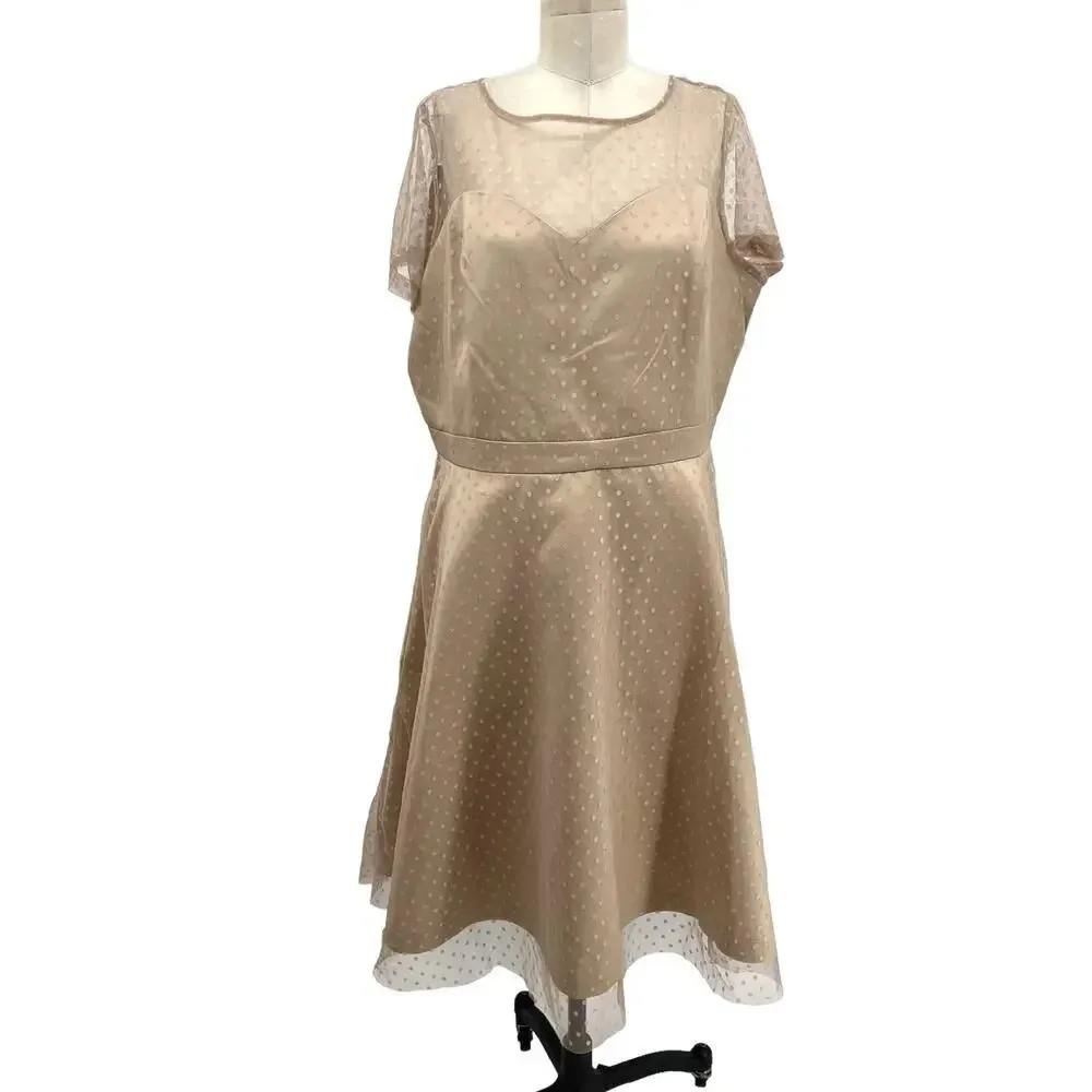 Lindy Bop Leona Almond Polka Dot‎ Mesh Prom Dress Beige Plus Size 3XL - Image 2