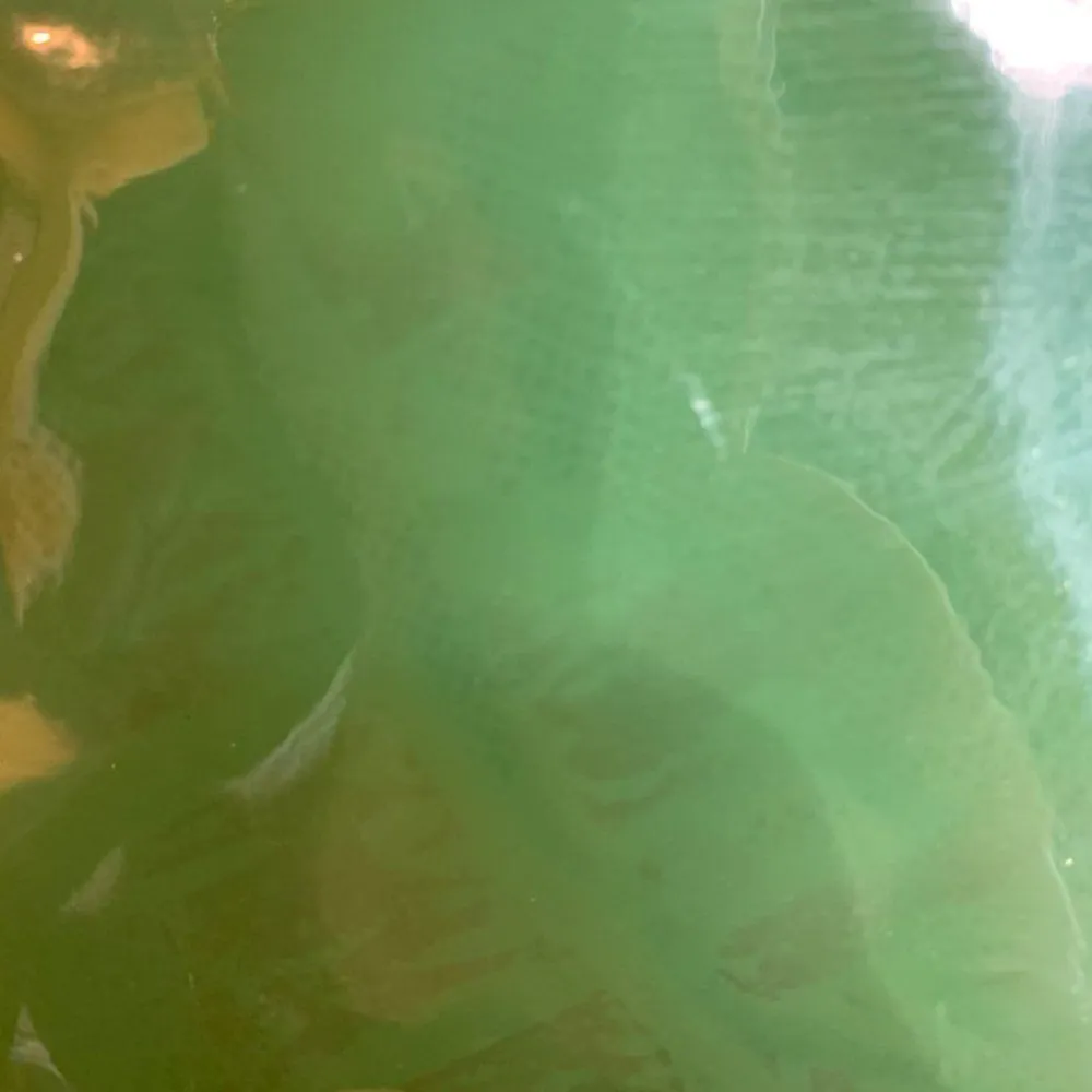 LOFT Green Patent Leather Silver Chain Purse - Image 6