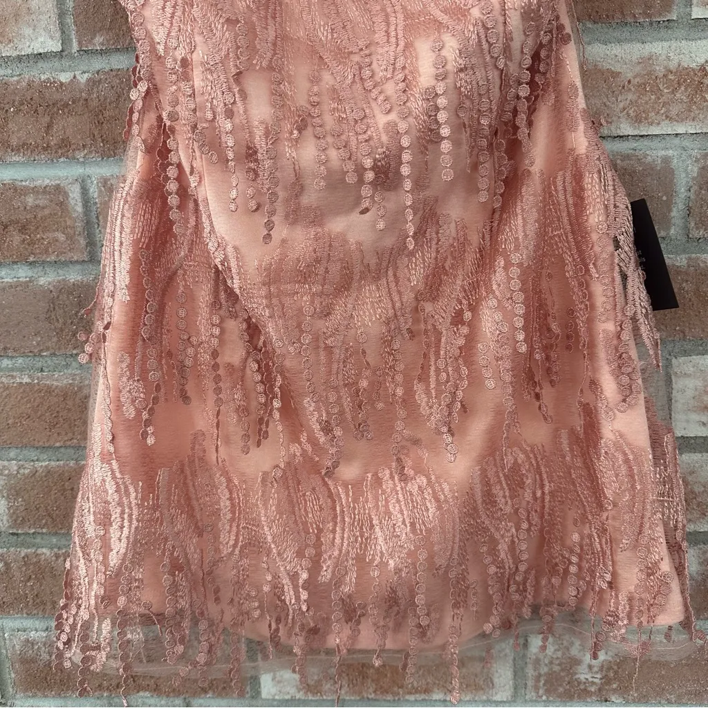 Lulus Making Magic Blush Pink Fringe Lace-Up Mini Dress NEW Women’s Medium Party - Image 5