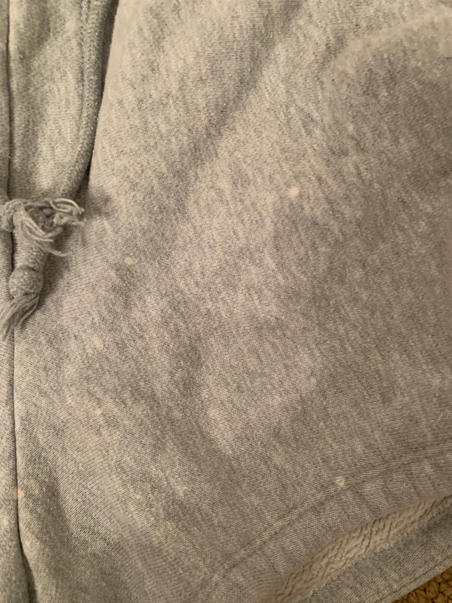 Champion Shorts - Image 4