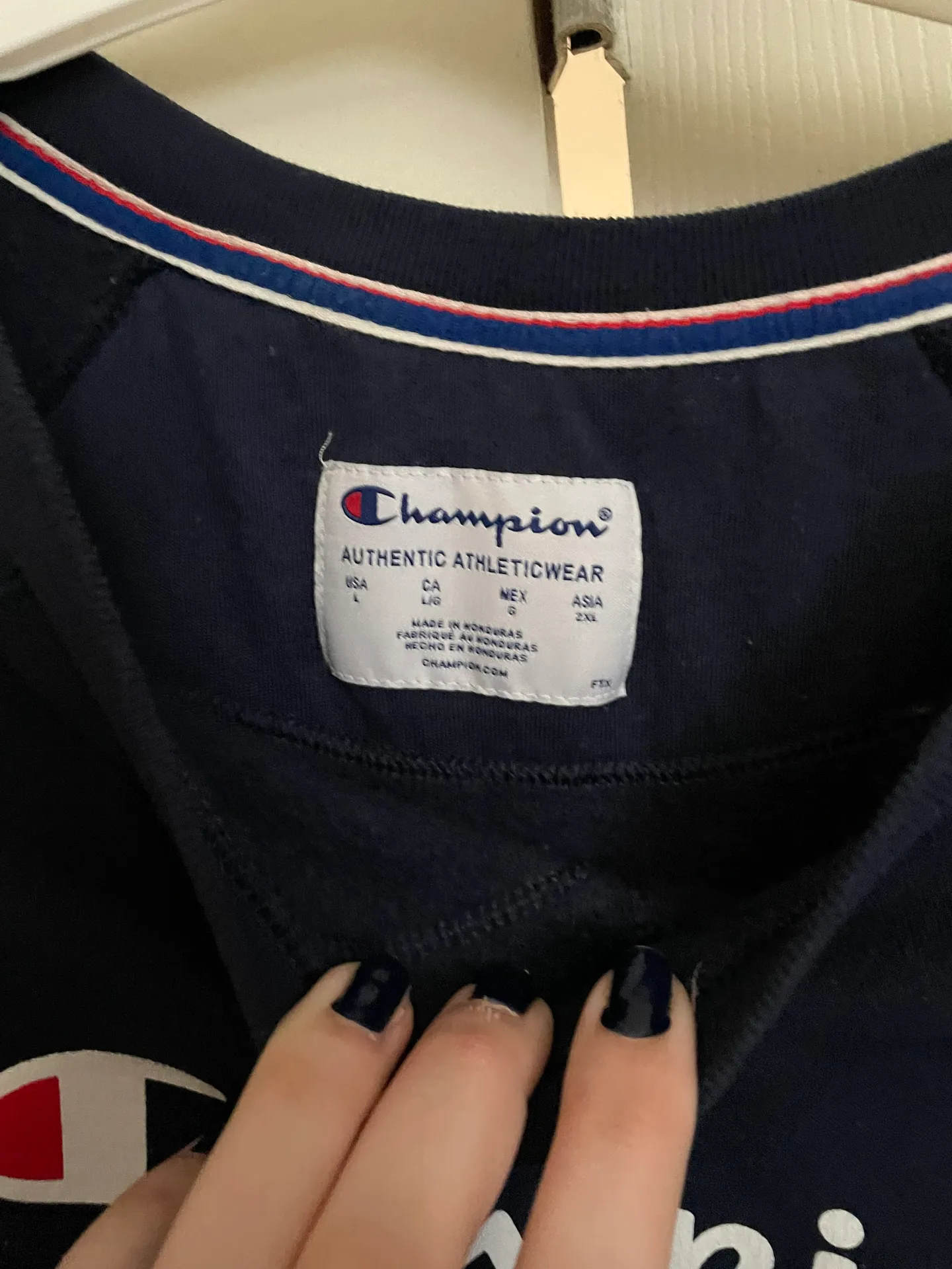 Champion Crewneck - Image 2