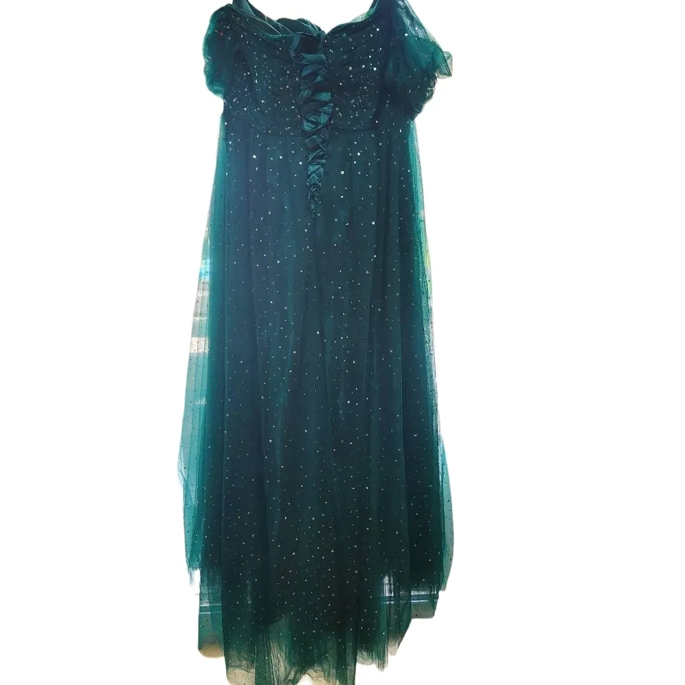 Green & Silver Stars & Moons Sequined Formal Dress (28W) - Image 4