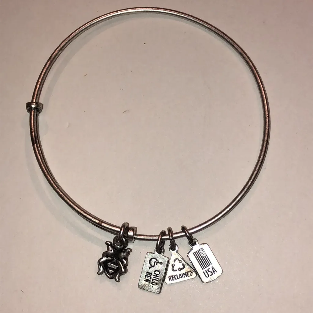 Alex and Ani Silver Tone Ladybug Charm Bracelet - Image 5